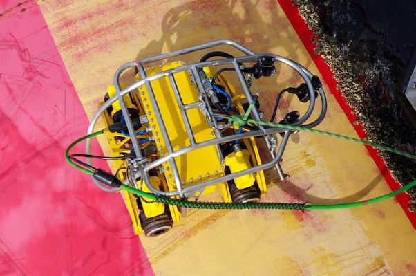 WhatsApp Image 2021-05-19 at 07.55.16